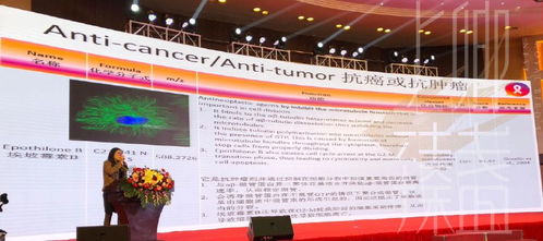 上卿臻盞創始人受邀參加國際燕窩認證研討會，共襄全球燕窩文化學術交流盛舉